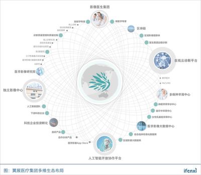 深耕医疗影像近十载，翼展医疗集团扬帆影像生态圈——从信息化服务到生态构建的进阶之路