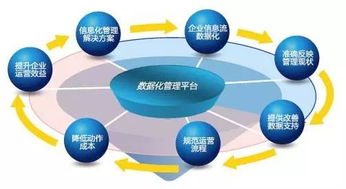 数字化转型浪潮下的装饰行业 企业信息化服务的新路径